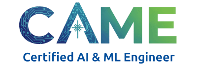 CAME programme logo