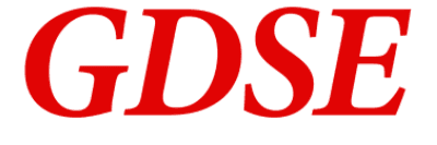 GDSE programme logo